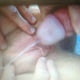 Rolni2