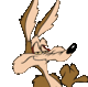 DimJandy