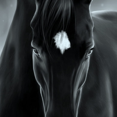 The-dark-horse