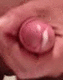 showcocking
