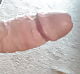 carobr