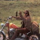 mick852