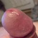Precum51