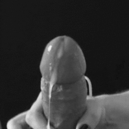 avatar_150.gif.v1584777260