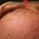 geiler_Bear