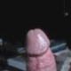 gwo000
