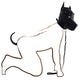 dog123slave