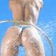 wildhoney