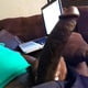 Bxfatcock